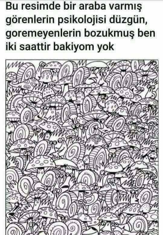 Resimde bir araba var gören bulan var mı acaba?