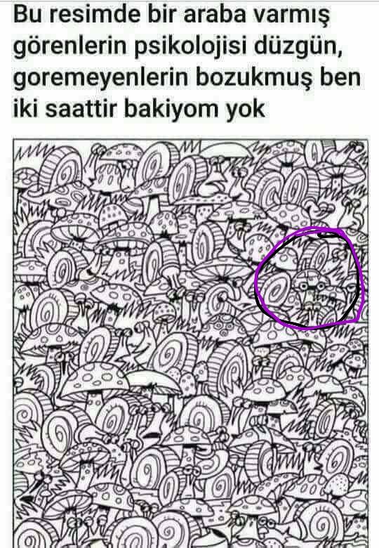 Resimde bir araba var gören bulan var mı acaba?