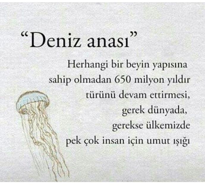 Bazı insanlar beyinsiz nasıl yaşıyor?