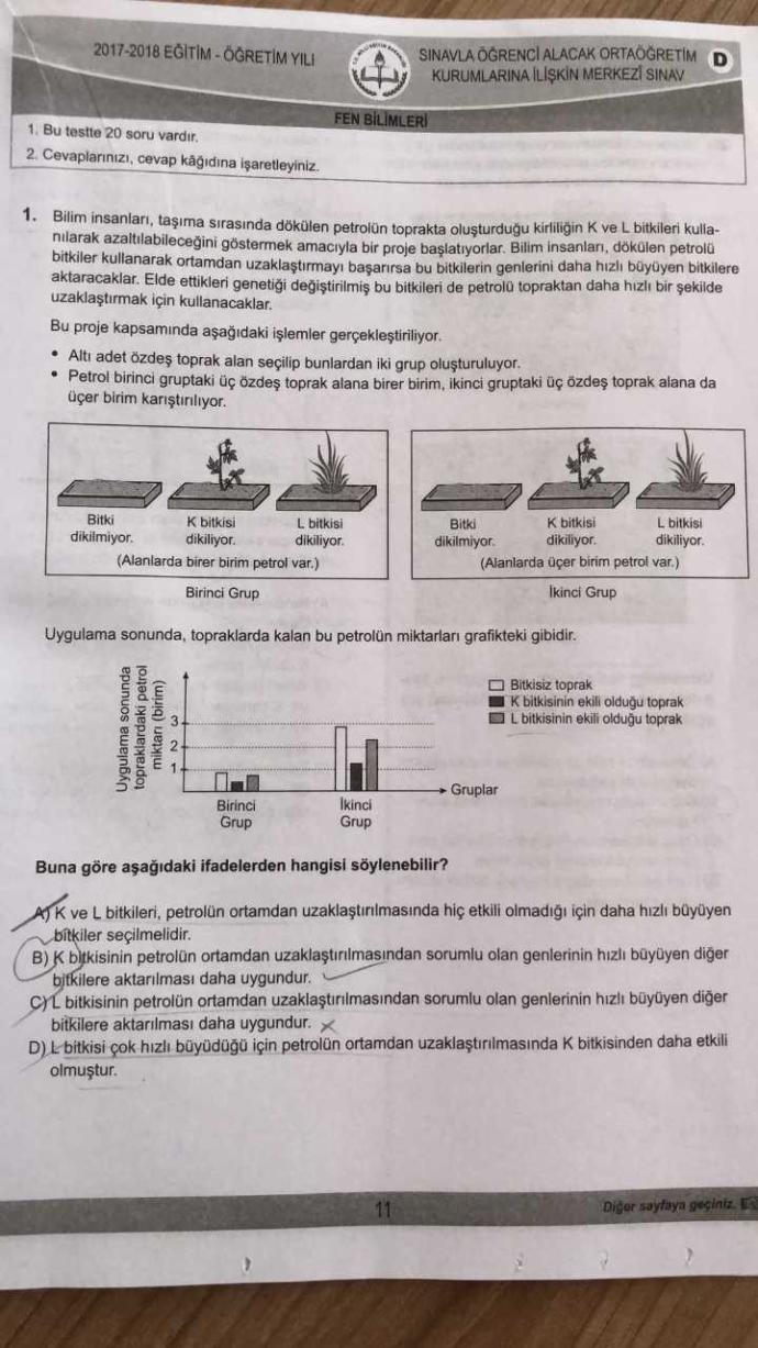 Lgs soruları hakkınde ne düşünüyorsunuz?