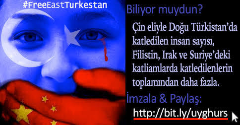 Doğu Türkistan'daki çin zulmüne hükümetimiz neden sağır ve dilsiz?