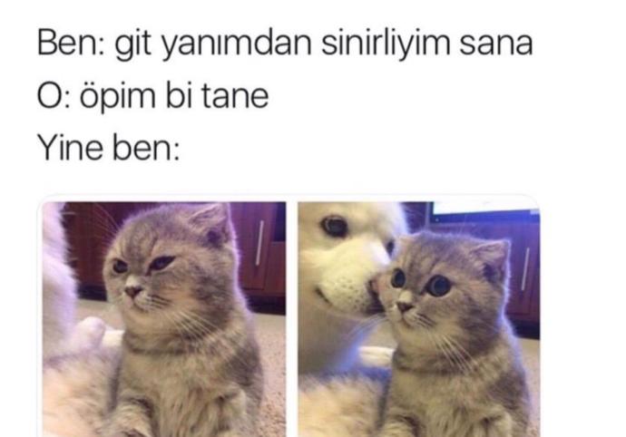 Size çok fazla trip atan bir sevgiliniz olursa triplerine katlanır mısınız?