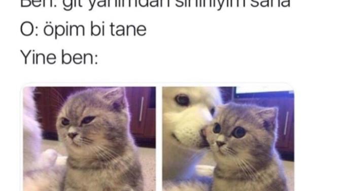 Size çok fazla trip atan bir sevgiliniz olursa triplerine katlanır mısınız?