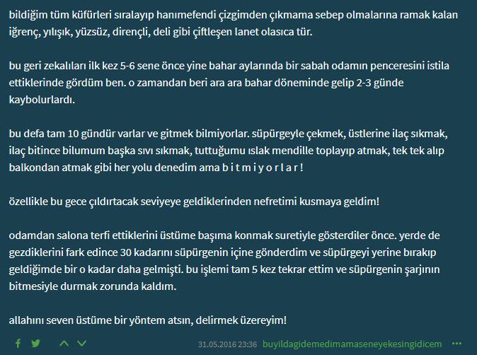 Siz de bu ay kanatlı karıncalar tarafından istila edildiniz mi?