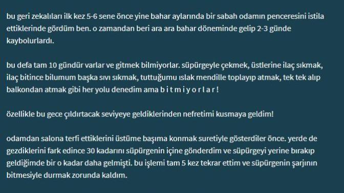 Siz de bu ay kanatlı karıncalar tarafından istila edildiniz mi?
