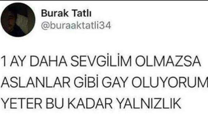Yalnızlıktan sıkılıp aslanlar gibi gay olan başka babayiğit var mı?