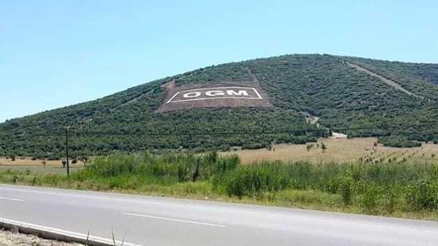 Orman deyince aklınıza ne geliyor?