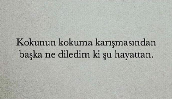 Sevdim çünkû; ... Hadi gerisi sizden. Nedenli mi Nedensiz mi Sever İnsan?
