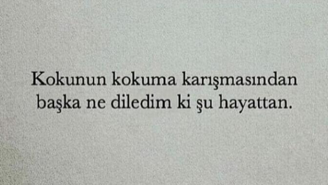 Sevdim çünkû; ... Hadi gerisi sizden. Nedenli mi Nedensiz mi Sever İnsan?