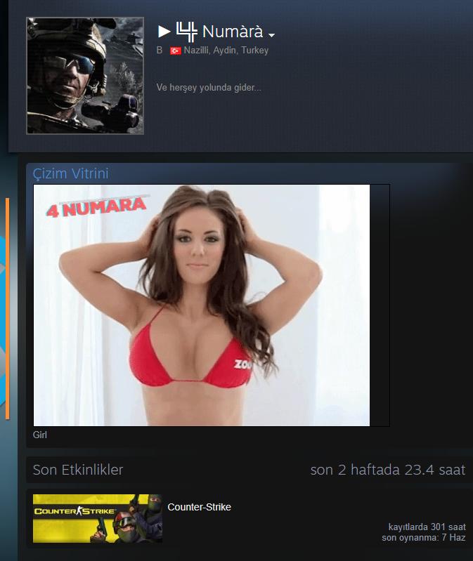13 Yaşındaki çocuğun steam hesabındaki çizim vitrini , ne düşünüyorsunuz?