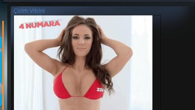 13 Yaşındaki çocuğun steam hesabındaki çizim vitrini , ne düşünüyorsunuz?