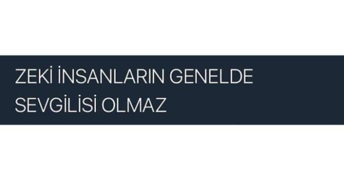 Zeki olan insanların sevgilisi olmaz mı? Zeka ile ilişki arasında bağlantı var mı?