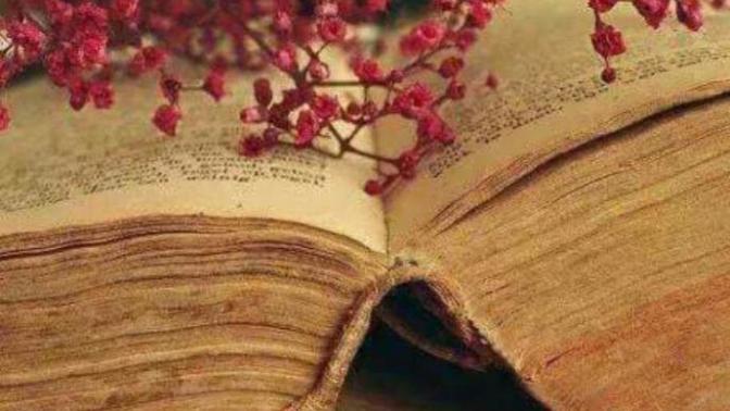 Sizde de kitap okurken aniden aklınıza takılan bir şey yüzünden aynı kelimeyi bilinçsizce defalarca okuduğunuz oluyor mu?