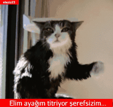 Orgazm olurken titriyorum. Neden olabilir?