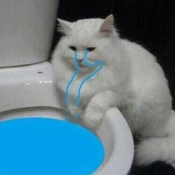 Her gün tekrar tekrar sevdiğiniz biri var mı?