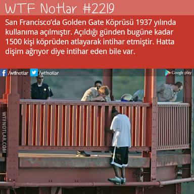Golden Gate köprüsünde ki tabelaya ne yazmak isterdiniz?