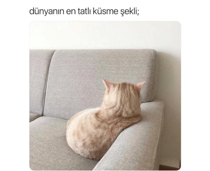 Size küsen sevgilinizin gönlünü almak için çabalar mısınız?