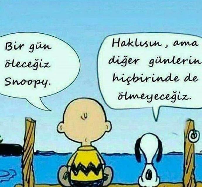 Hayata bakış açınız nasıl?