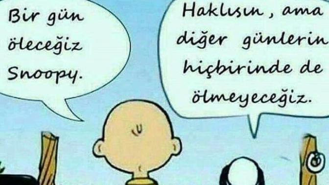 Hayata bakış açınız nasıl?