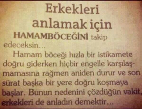 Erkekler hamam böceği gibi midir?
