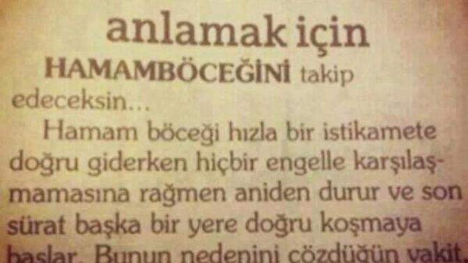 Erkekler hamam böceği gibi midir?