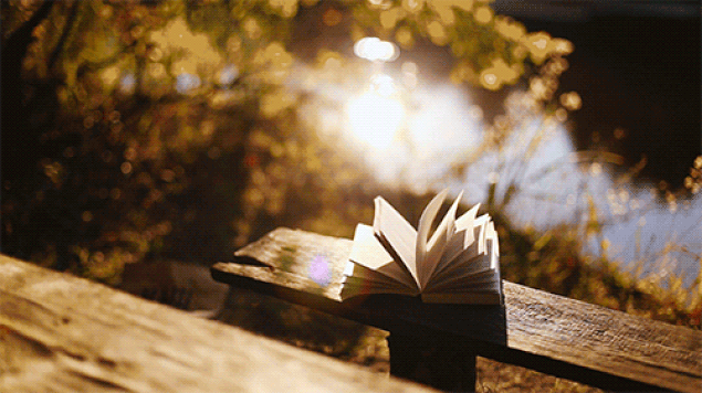 Hayatınızın geri kalanını içinde yaşamak istediğiniz bir kitap var mı?