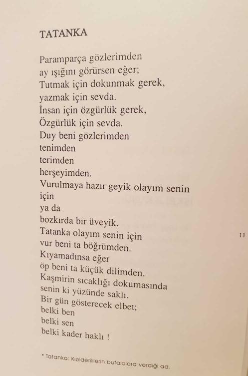Muharrem Ince'nin şiirleri hakkında ne düşünüyorsunuz?