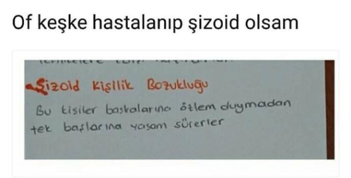 Sence de guzel bir hastalik degil mi? Şizoid olmak ister miydin?