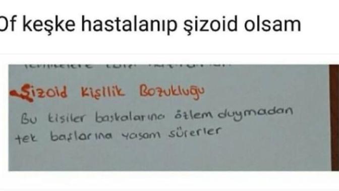 Sence de guzel  bir  hastalik degil mi? Şizoid olmak ister miydin?