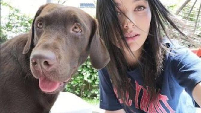 Bu köpeğin cinsi nedir?