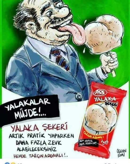 2018 Türkiye Genel Seçimlerinde oyun hangi partiye?