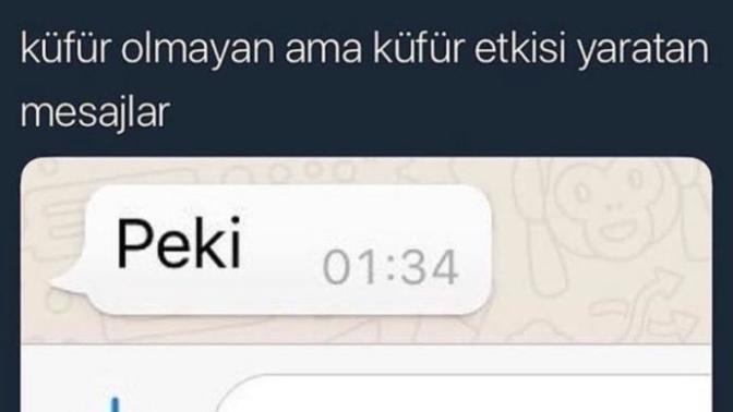 Size göre küfür olmayan ama küfür etkisi yaratan mesajlar nelerdir😁😁?