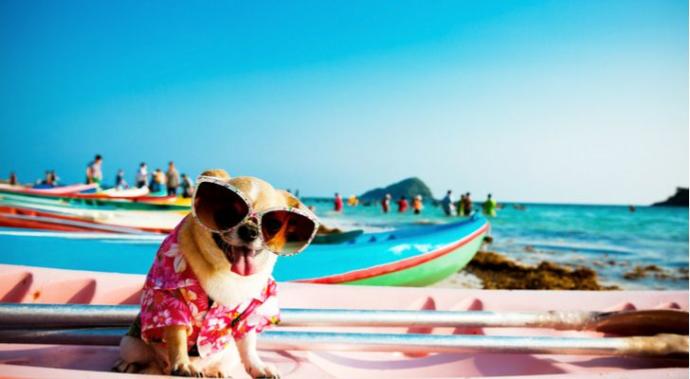 İdeal bir tatil kaç gün olmalı?