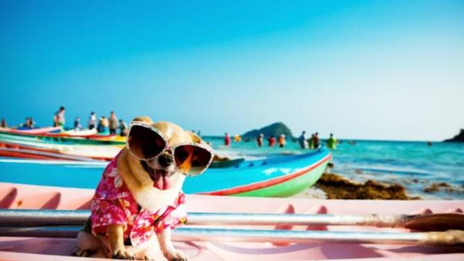 İdeal bir tatil kaç gün olmalı?