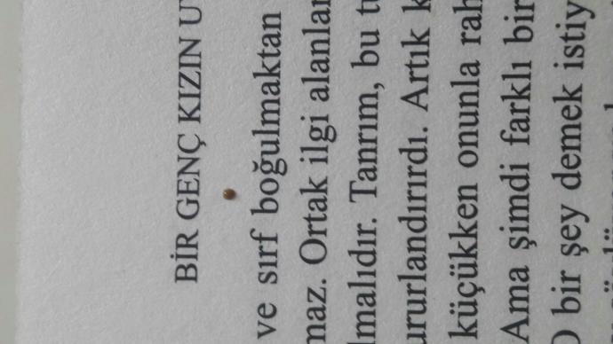 Sinekler sıçıyormuydu ya?