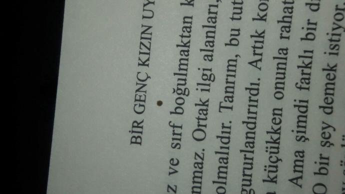 Sinekler sıçıyormuydu ya?