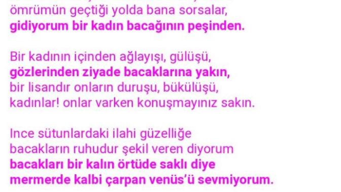 Muharrem İnce'nin Erotik şiirleri varmış diyorsunuzda Çoğu şairin var? niye anormal karşılanıyor?