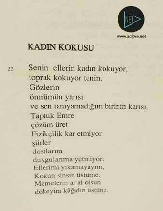 Muharrem incenin yasak aşk şeklindeki şiiri hakkında ne düşünüyorsunuz?