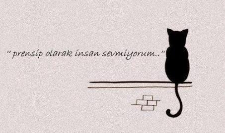 Sizce siz mizantropist misiniz?