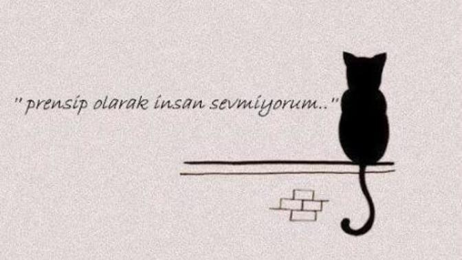 Sizce siz mizantropist misiniz?