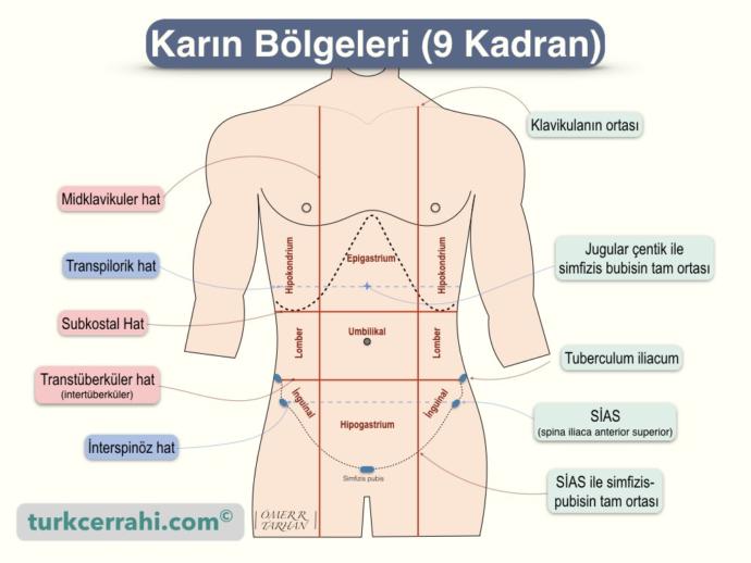 Arkadaslar sabahtan beri karnim agriyor apantis olduysam agrisi nasildir ACILLLLL?