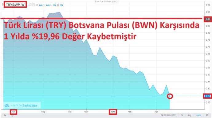 Türk Lirası Afrika Ülke para birimlerine karşı bile değer kaybederken tüm dünyada paralar değer kaybediyor demek, sizce durum ne?
