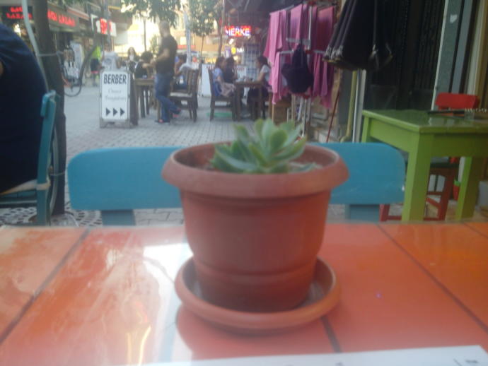 Tek başına, dışarıda gezmeyi, bir yerde oturmayı sever misin? Yoksa yanında MutlakA birisi mi olmalı?