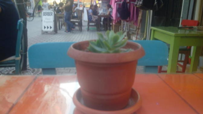 Tek başına, dışarıda gezmeyi, bir yerde oturmayı sever misin? Yoksa yanında MutlakA birisi mi olmalı?