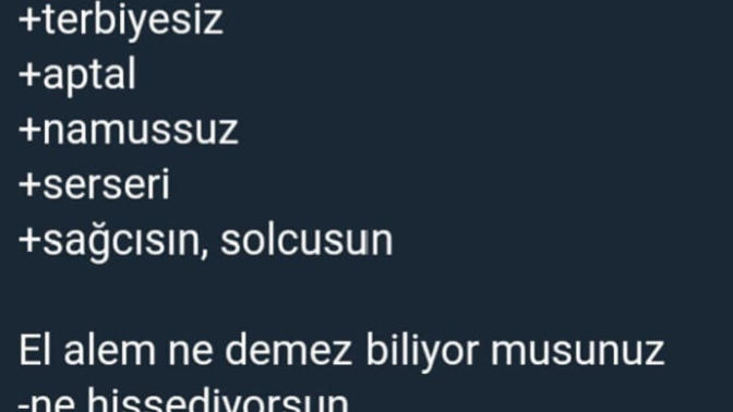 Elalem ne der ve ne demez biliyor musun?