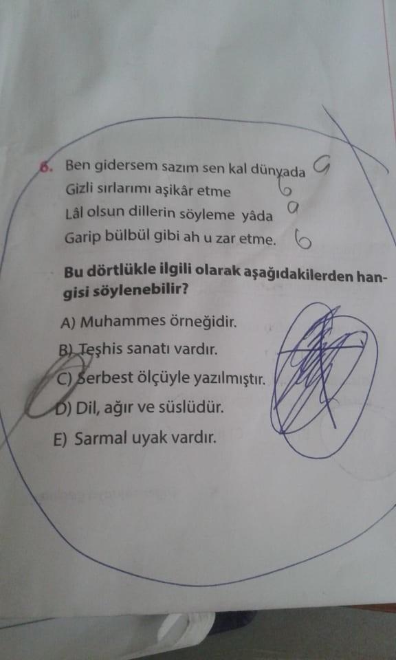 Edebiyatı iyi olan şu sorulara bakabilir mi?