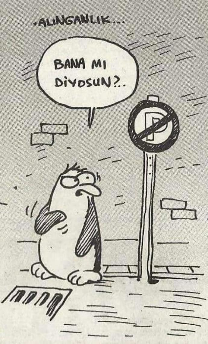 Alıngan mısıniz?😮?