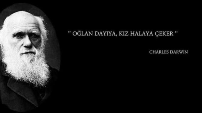 Bilime göre internette özlü söz paylaşanların zeka seviyesi düşük! Yoksa siz de sosyal medyada özlü söz paylaşanlardan mısınız?