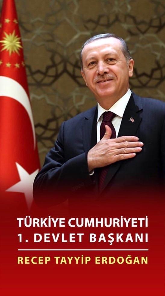 Nereye kayboldu 