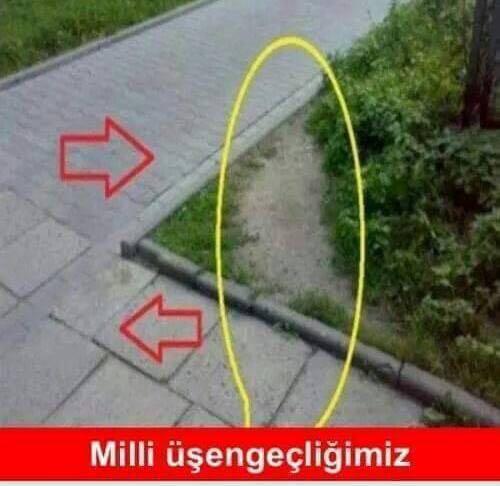 Türk olduğunuzu nasıl kanıtlarsınız?